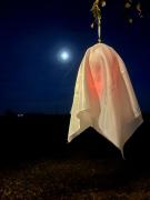 Bojovka s pampionem_02